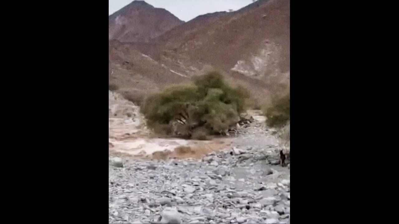 #burrofuerte #izakar
