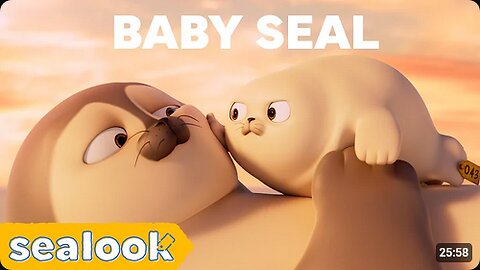 CUTENESS EXPLOSION _ Baby Seal Special _ SEALOOK _ Episodes Compilation