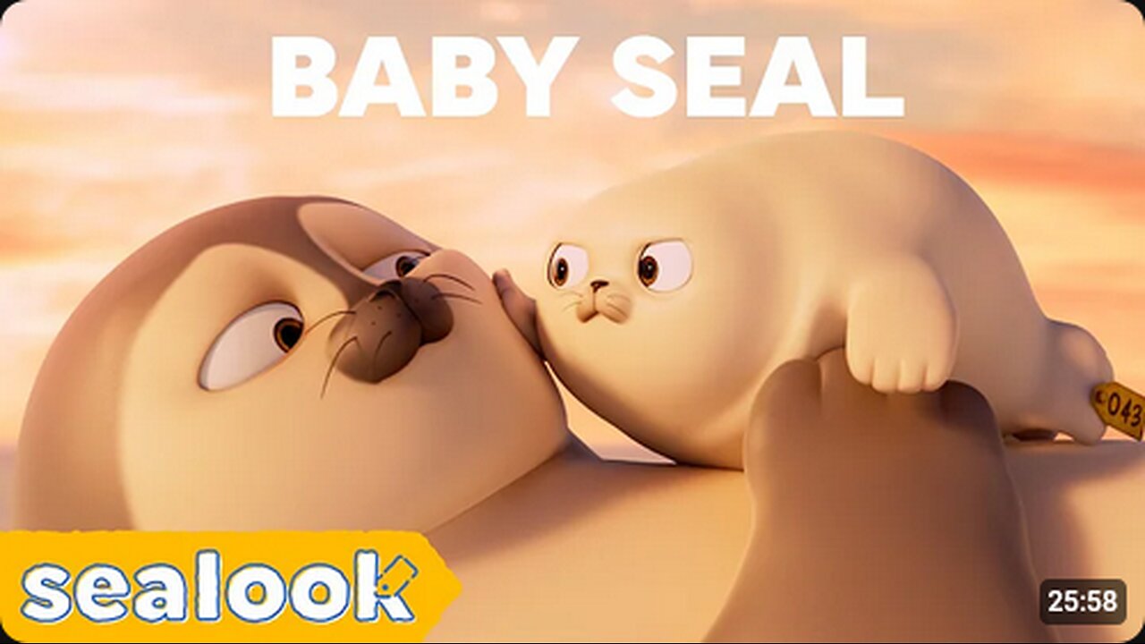 CUTENESS EXPLOSION _ Baby Seal Special _ SEALOOK _ Episodes Compilation