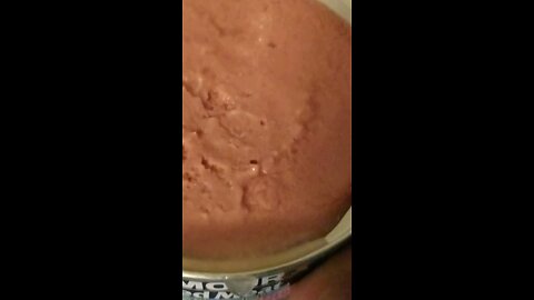Potted Meat w Chocolate