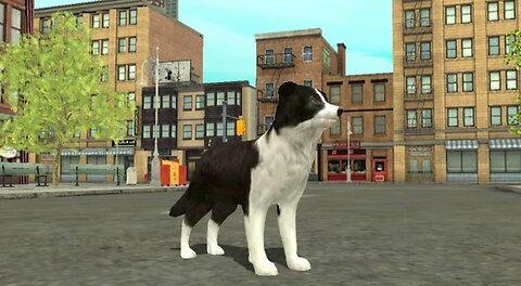 I'm a Border Collie! | Dog Simulator