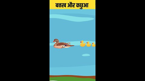 kids videos