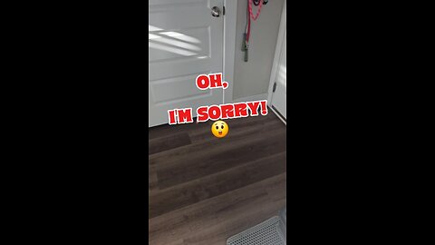 Funny Toilet!