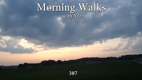 Morning Walks with Yizz 307