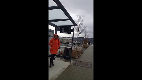 Strong north wind and real feel -7°C froze a woman in a autumn jacket as she waited for a bus.