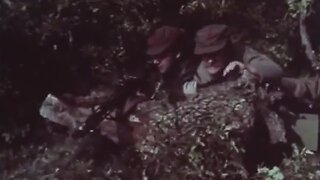 Партизанска песна | Partizanska pesna | Таму долу Криволачко | Tamu dolu Krivolacko | Македонски Песни | Makedonski Pesni | Macedonian Songs | Macedonia | Македонија