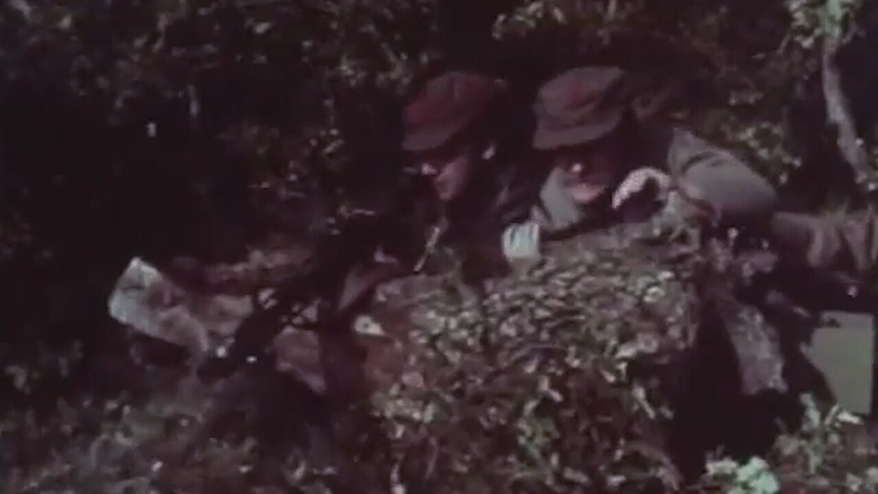 Партизанска песна | Partizanska pesna | Таму долу Криволачко | Tamu dolu Krivolacko | Македонски Песни | Makedonski Pesni | Macedonian Songs | Macedonia | Македонија