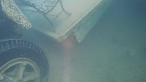 Albino Catfish at Mermet Springs