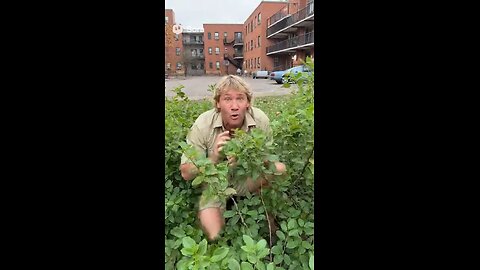 Steve Irwin visits O Block