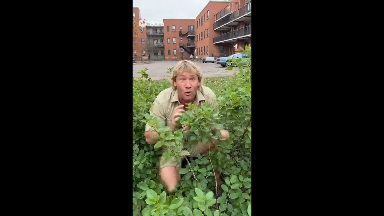 Steve Irwin visits O Block