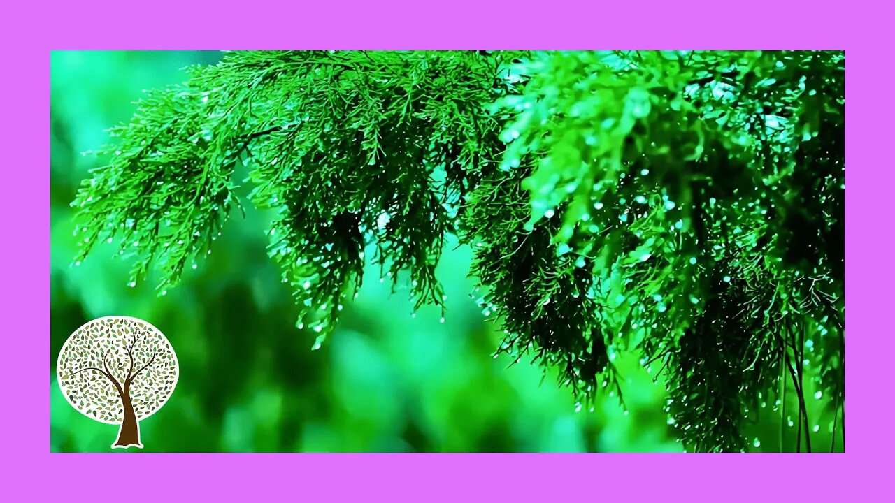 How to Fall Asleep FAST | Sleep Music with Rain Sounds 💧 Relaxing Music