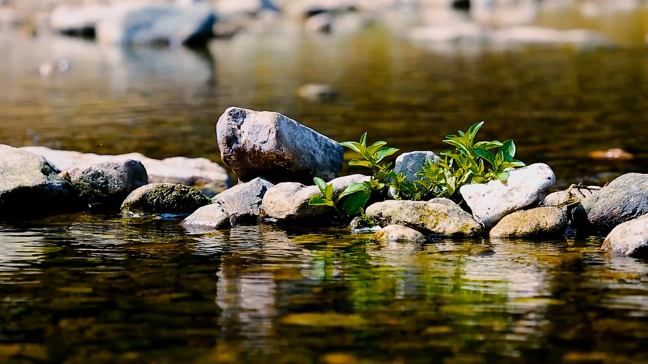 Stream sound nature sound ASMR black screen
