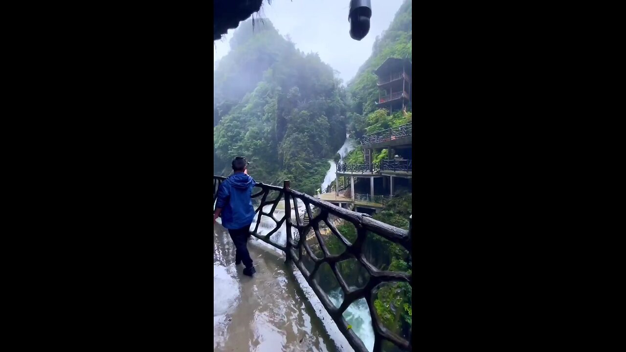 beautifull nature 🍄🟫