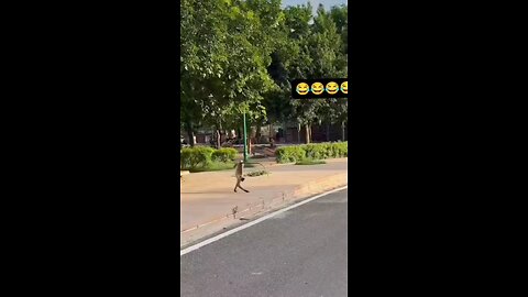 moneyking🐒🐒👌