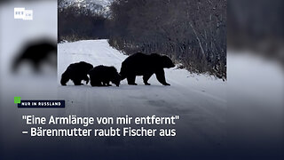 "Eine Armlänge von mir entfernt" – Bärenmutter raubt Fischer aus