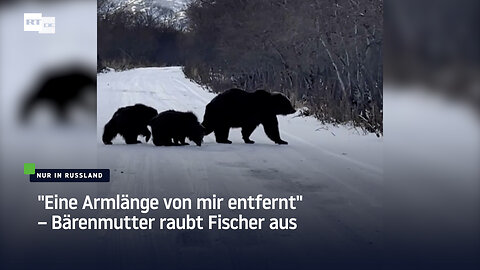 "Eine Armlänge von mir entfernt" – Bärenmutter raubt Fischer aus