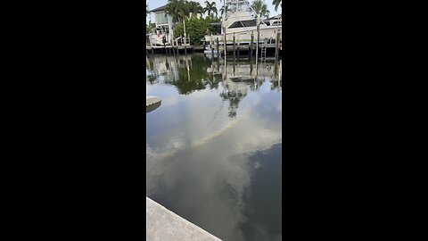 Rainbow Reflection! | 4K