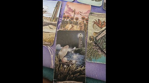you vs your person. tarot reading