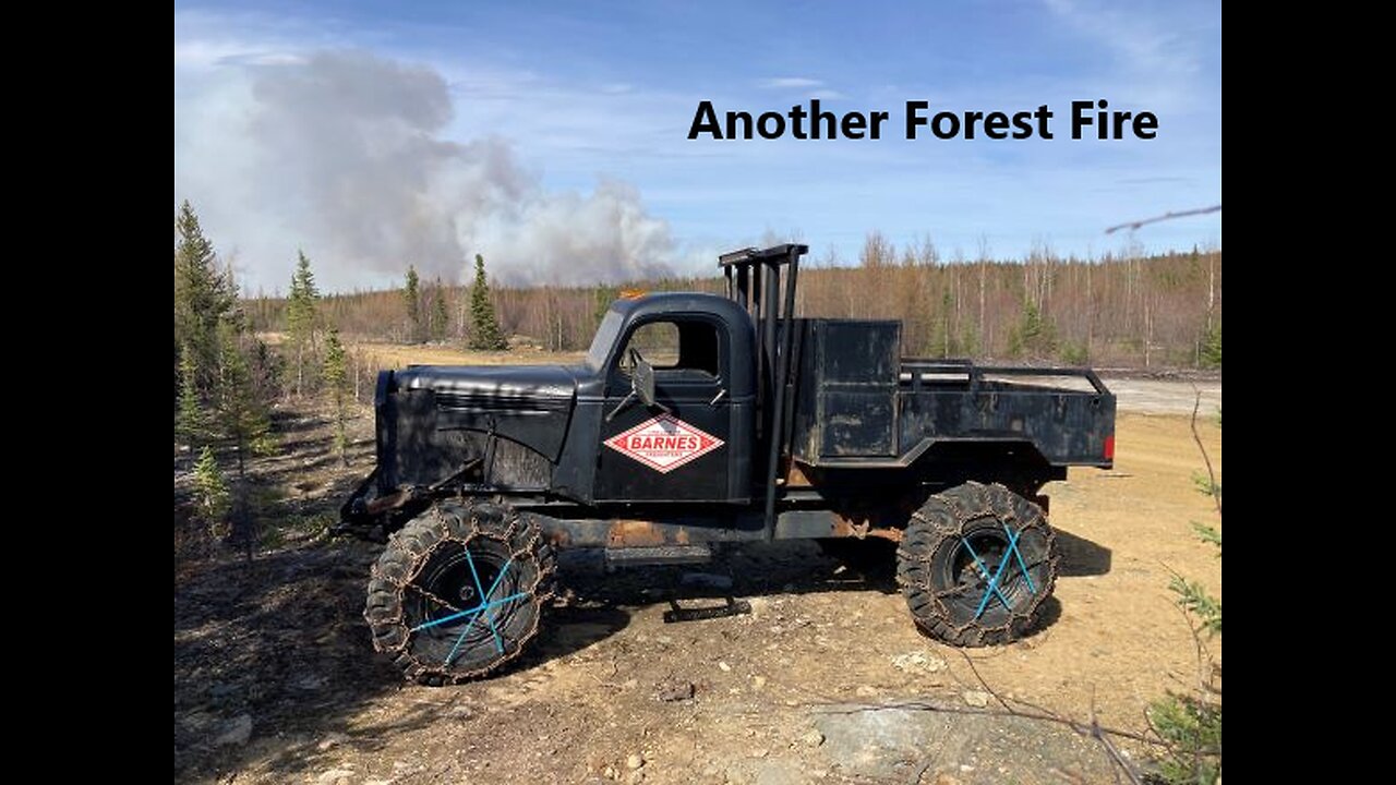 Living in Fear of the Gong Show Mining Company Again May 20 2025