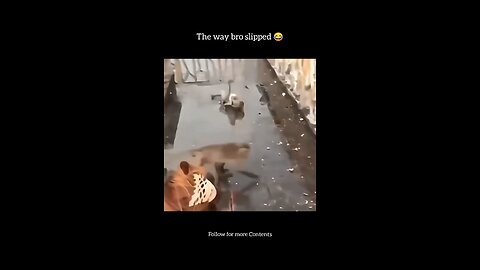 The way bro slipped 😂