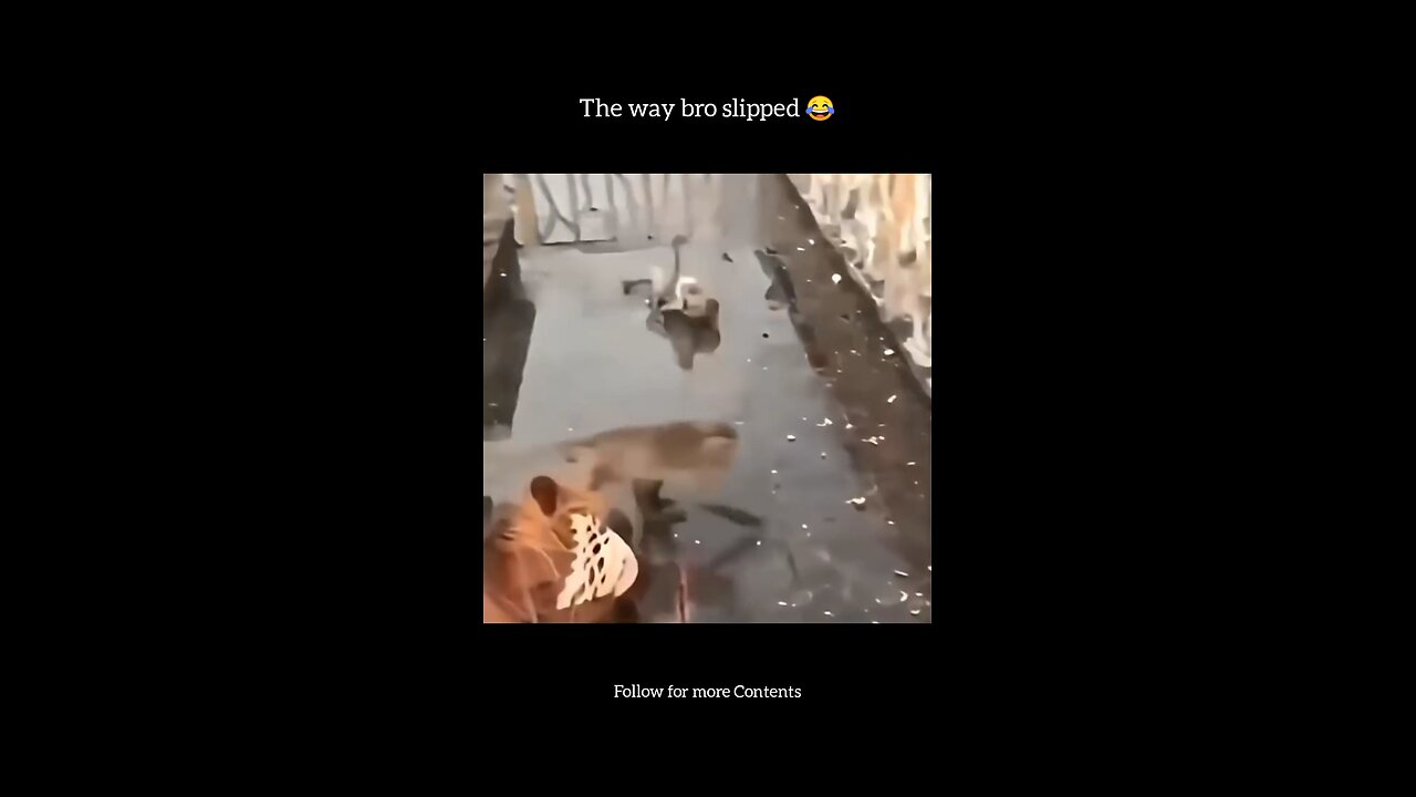 The way bro slipped 😂