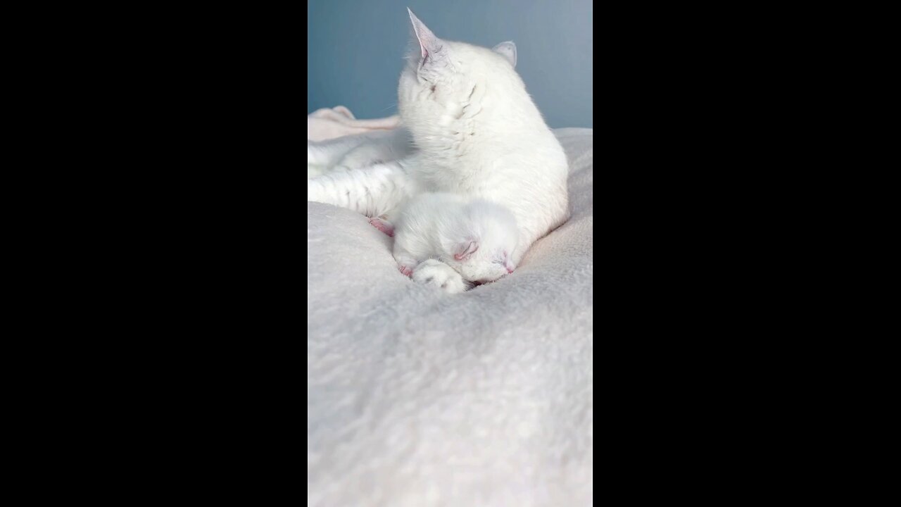 # Safe in Mama's 💕😘 Love 😚😘