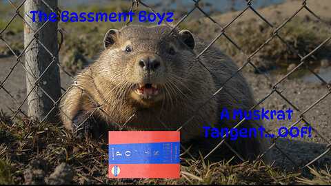 IT'S A MUSKRAT... Tangent
