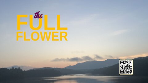 Citadel Summer Episode 51: The Full Flower