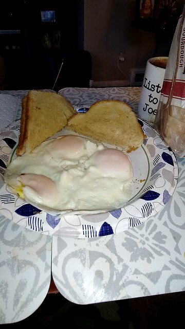 Eating Eggland's Best Eggs, Dbn, MI, 11/22/25