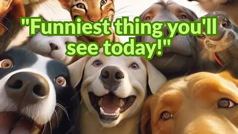 This Dog & Cat Duo Just Broke the Internet! 😂🐶🐱