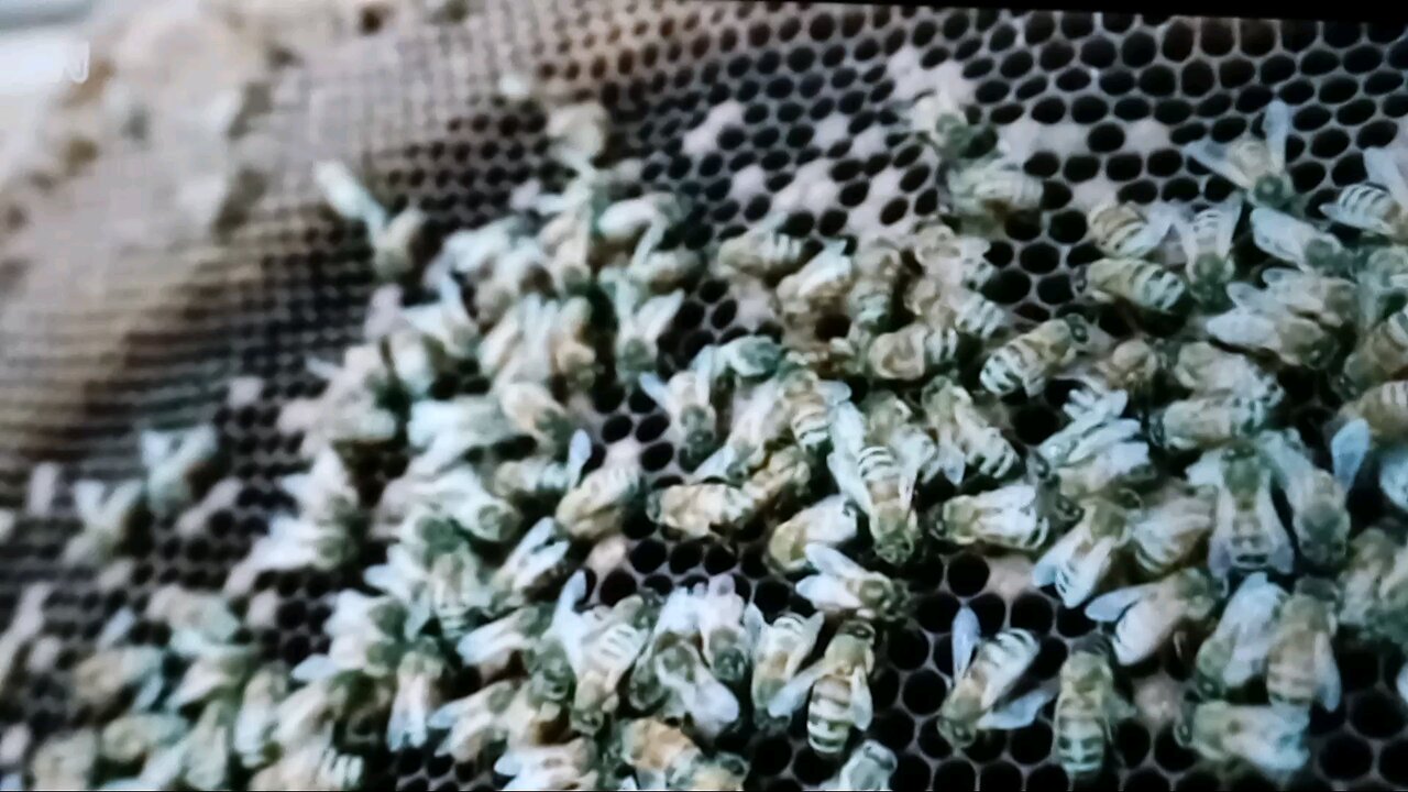 Big Shake Up At Airport! Scan Your Face, You're In!