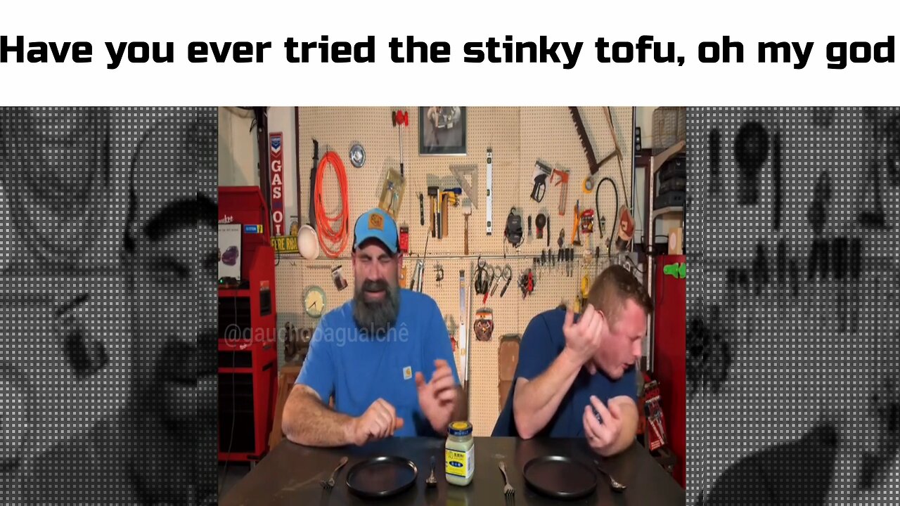 Have you ever tried the stinky tofu, oh my god