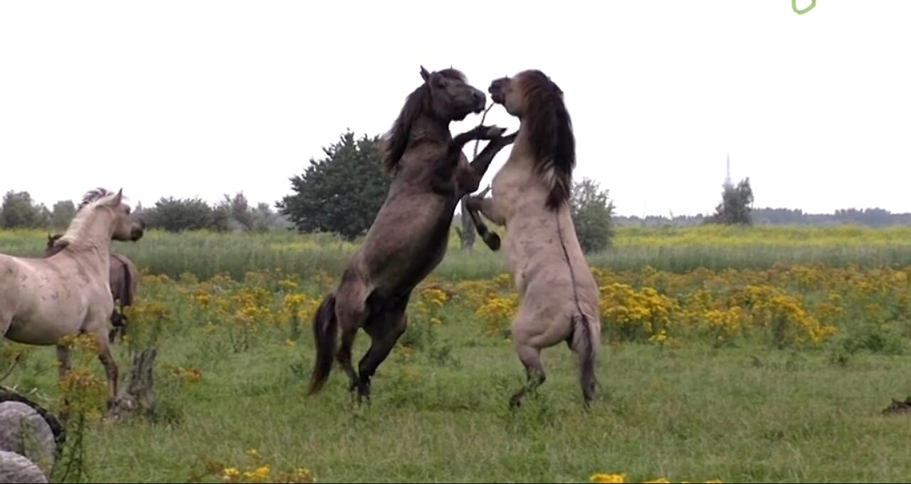 BY FAITH ALONE - DAILY DEVOTIONAL ❤️