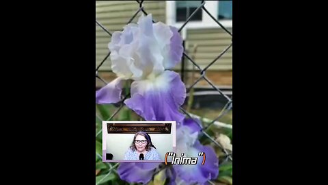 Oltea Hozan poezia -INIMA- #editor Valentin Trif #caleacătrerai #poezie #poetry #subscribe #shorts