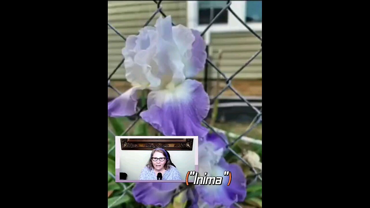 Oltea Hozan poezia -INIMA- #editor Valentin Trif #caleacătrerai #poezie #poetry #subscribe #shorts