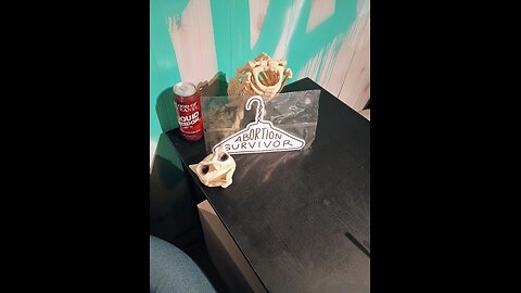 Planet Piracy 301: The crew night