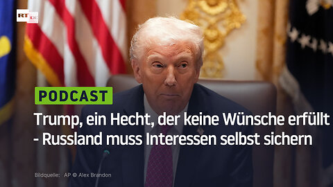 Trump, ein Hecht, der keine Wünsche erfüllt - Russland muss Interessen selbst sichern