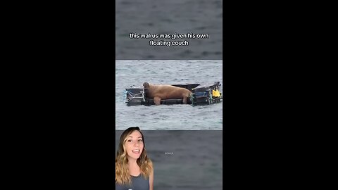 Love All Life Always #409 - Wally - A Cool Journey And Great Interaction With Humans Along The Way