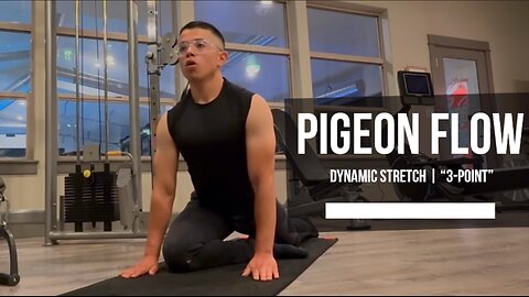 Pigeon Flow