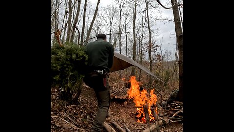 Bushcraft camping and outdoors cooking with my dog in the forest