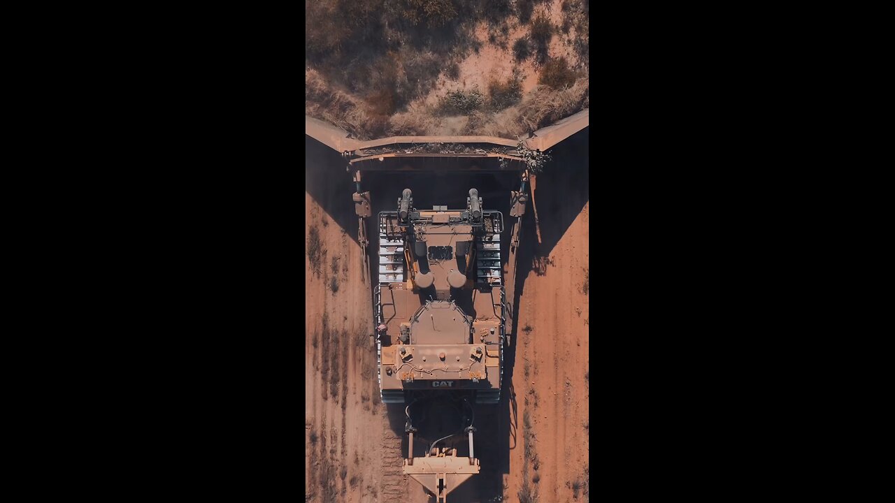 🦁