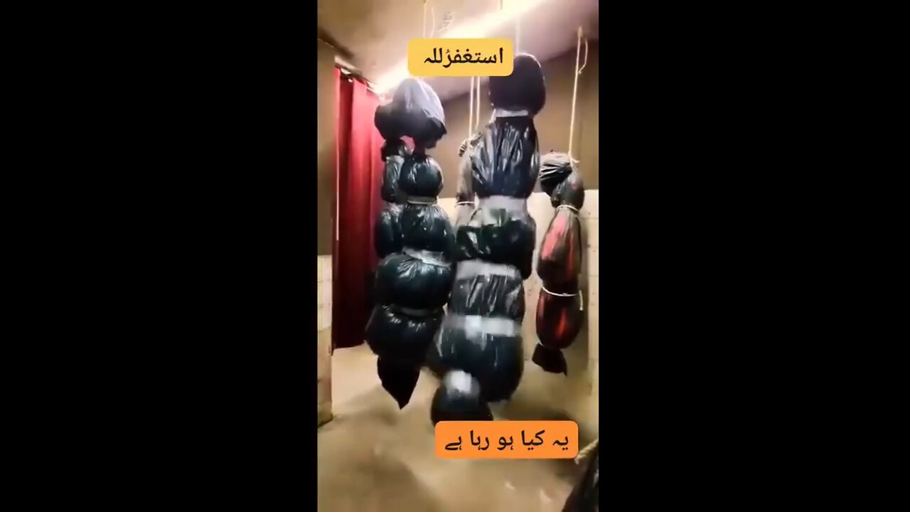 Free Palestine 🇵🇸🇵🇸🇵🇸