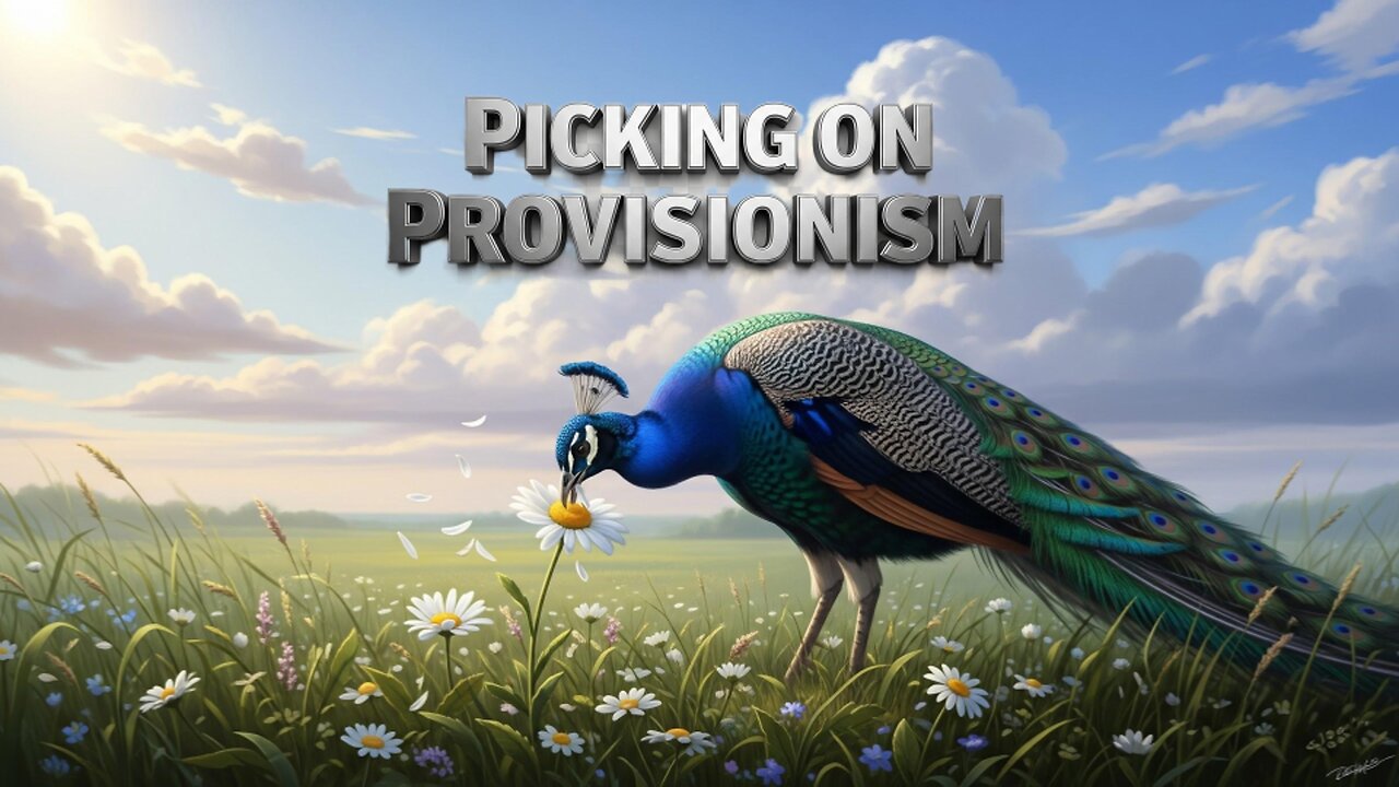 Picking on Provisionism | David L. Allen's LRfRC Book