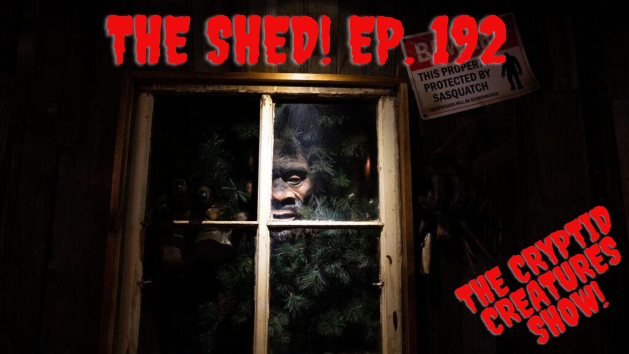The Shed! EP. 192