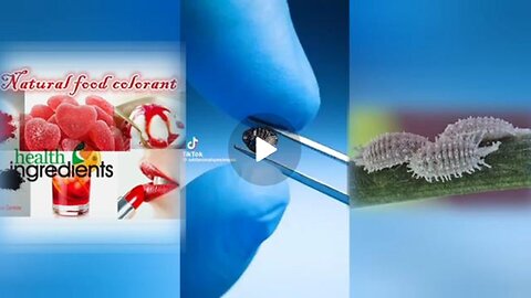 Carmine - A Food Colorant Made From Crushed Bugs!
