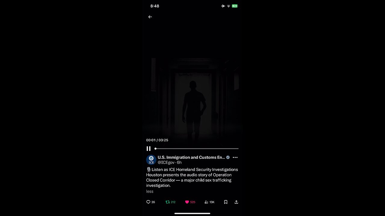 US ICE on X : Operation Closed Corridor