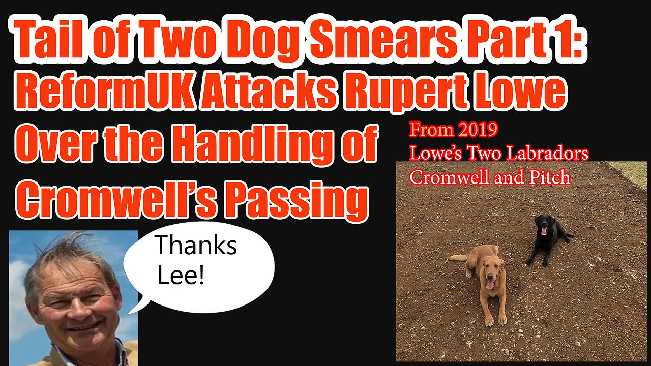 Tail of Two Dog Smears Part 1: ReformUK Attacks Rupert Lowe Not Labour upd 22 June 2025
