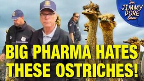 150 Cops Deployed To Fight The Threat Of Canadian Ostriches! w/ Katie Pasitney