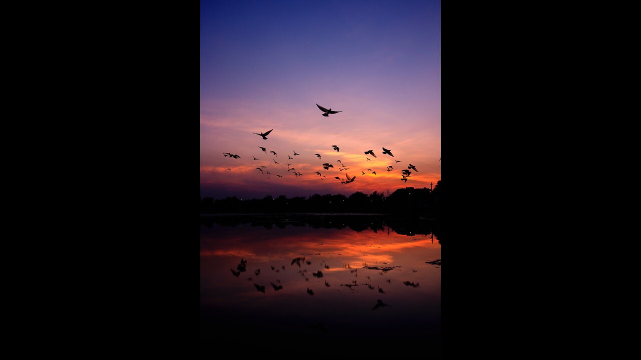 Free souls in the sky..🥰🫶🏻