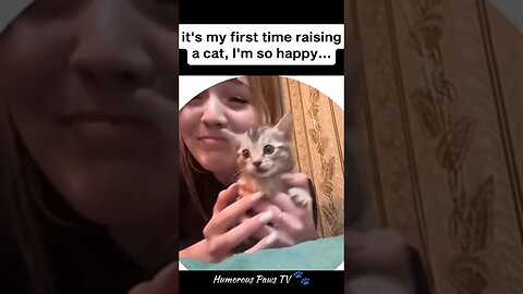 Laughing Along with Furry Friends: Hilarious Adventures! 🐾😆